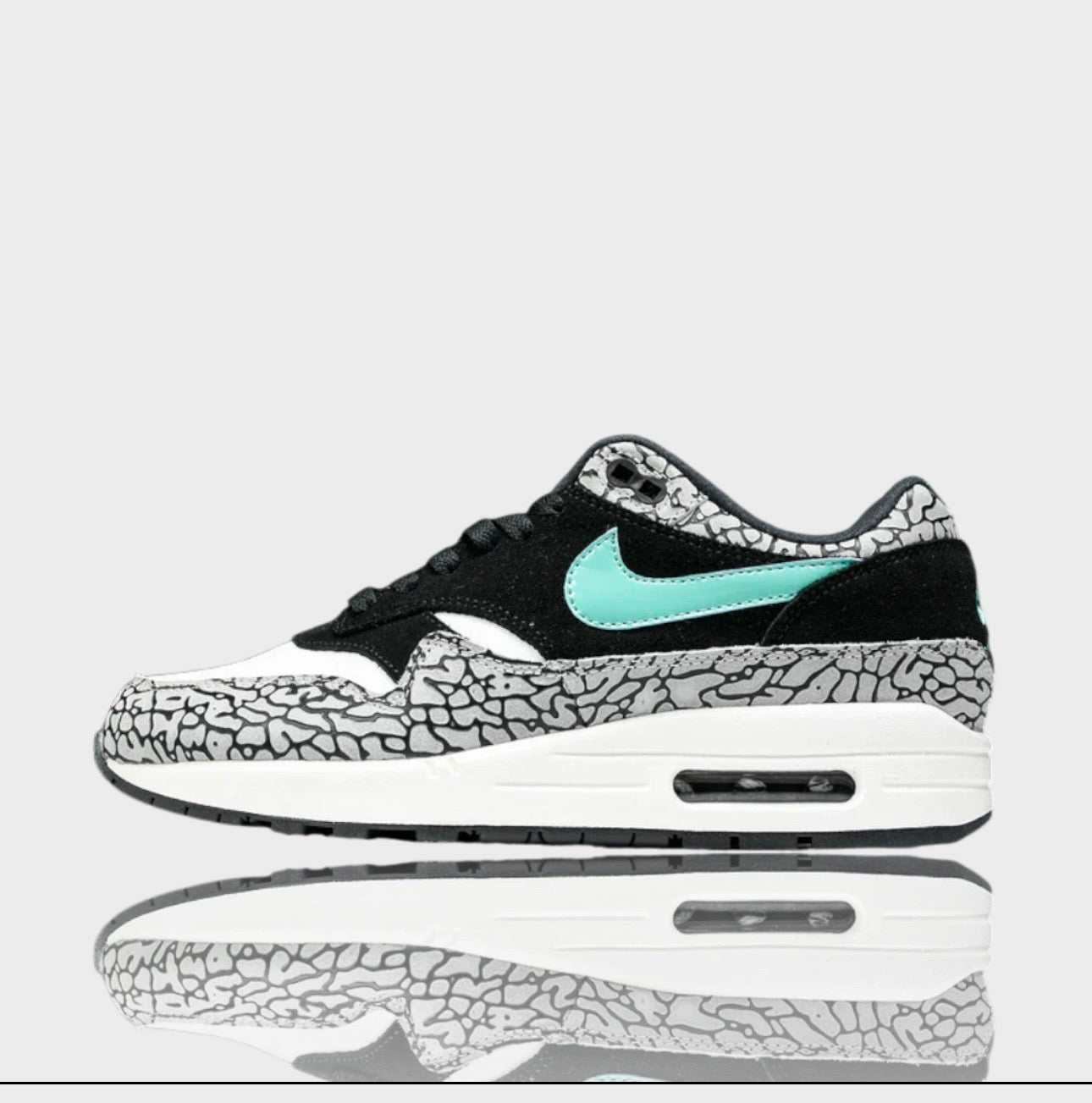 Nike AM1