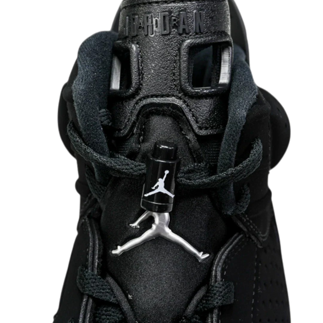AJ6 Retro 'Chrome'
