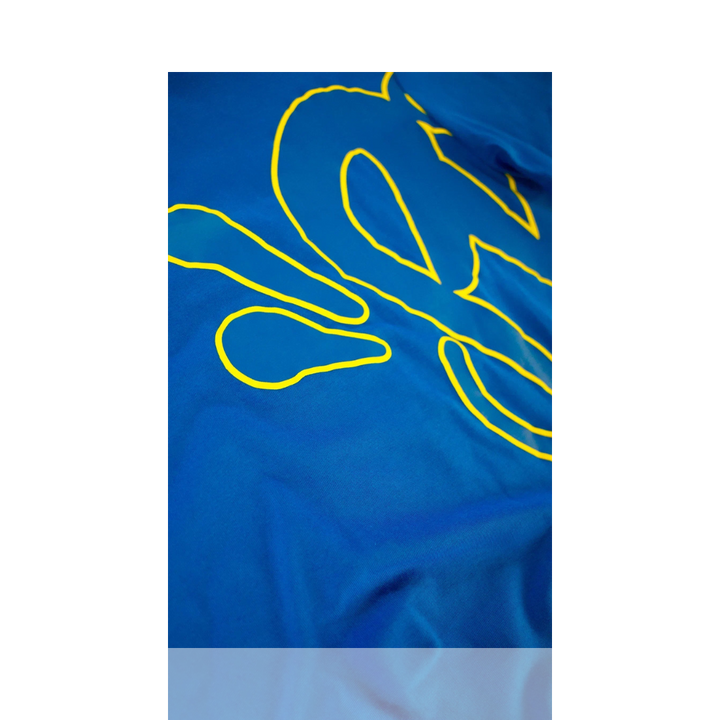 Cobalt Syna Short Set