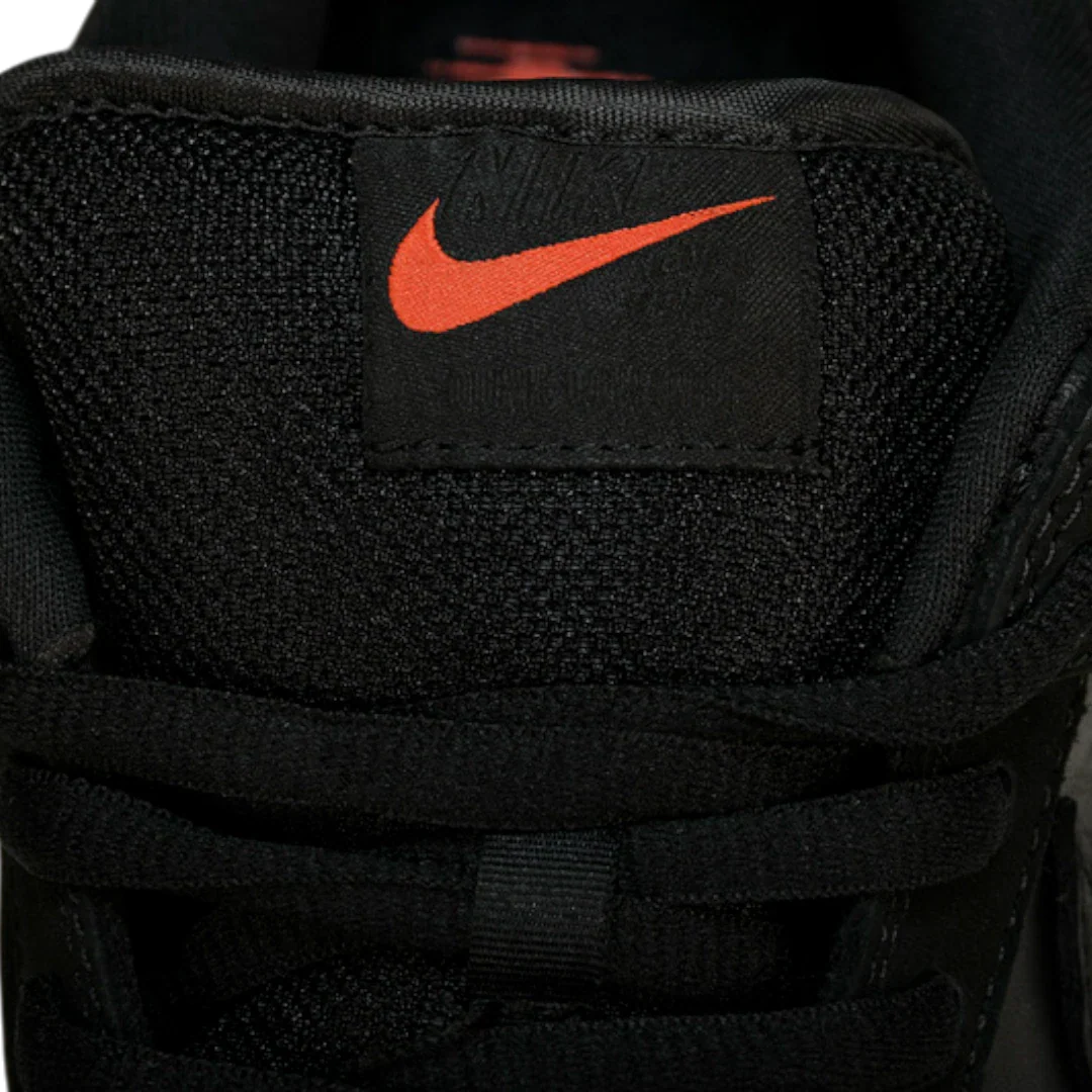 Jeff Staple x SB Dnk Low 'Black Pigeon'